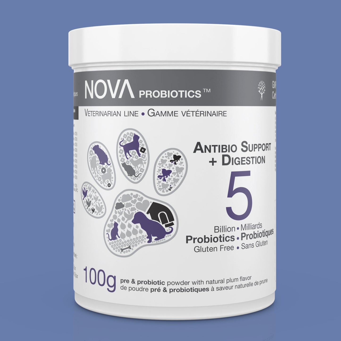 Antibio Support + Digestion Formula
